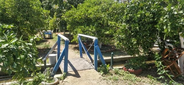 Fethiye Kargı’da Lezzet Ve Huzurun Yeni Adresi: Asmalı Bahçe Kahvaltı Evi