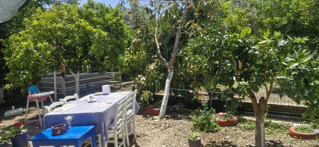 Fethiye Kargı’da Lezzet Ve Huzurun Yeni Adresi: Asmalı Bahçe Kahvaltı Evi