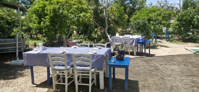 Fethiye Kargı’da Lezzet Ve Huzurun Yeni Adresi: Asmalı Bahçe Kahvaltı Evi