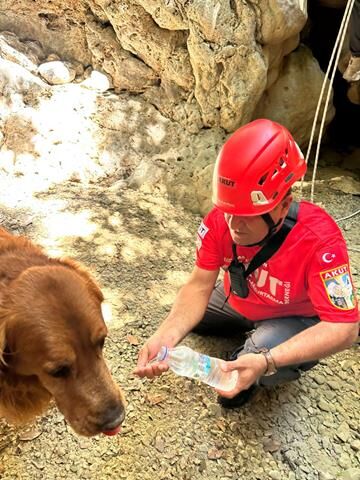 Fethiye’de Derede Mahsur Kalan Köpek Kurtarıldı