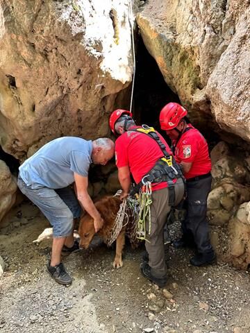 Fethiye’de Derede Mahsur Kalan Köpek Kurtarıldı
