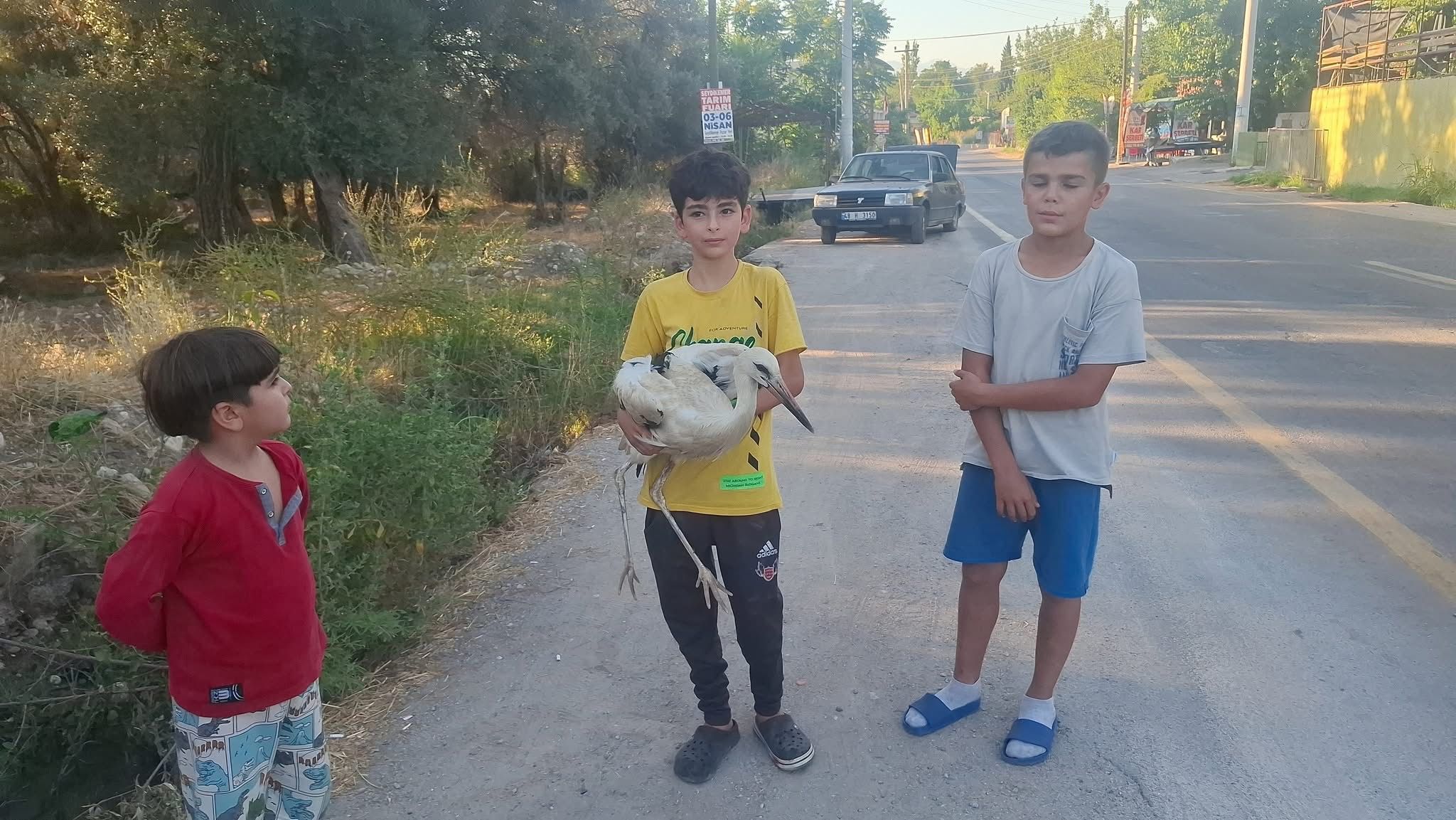 Seydikemer’de Yaralı Leyleği Duyarlı Gençler Kurtardı