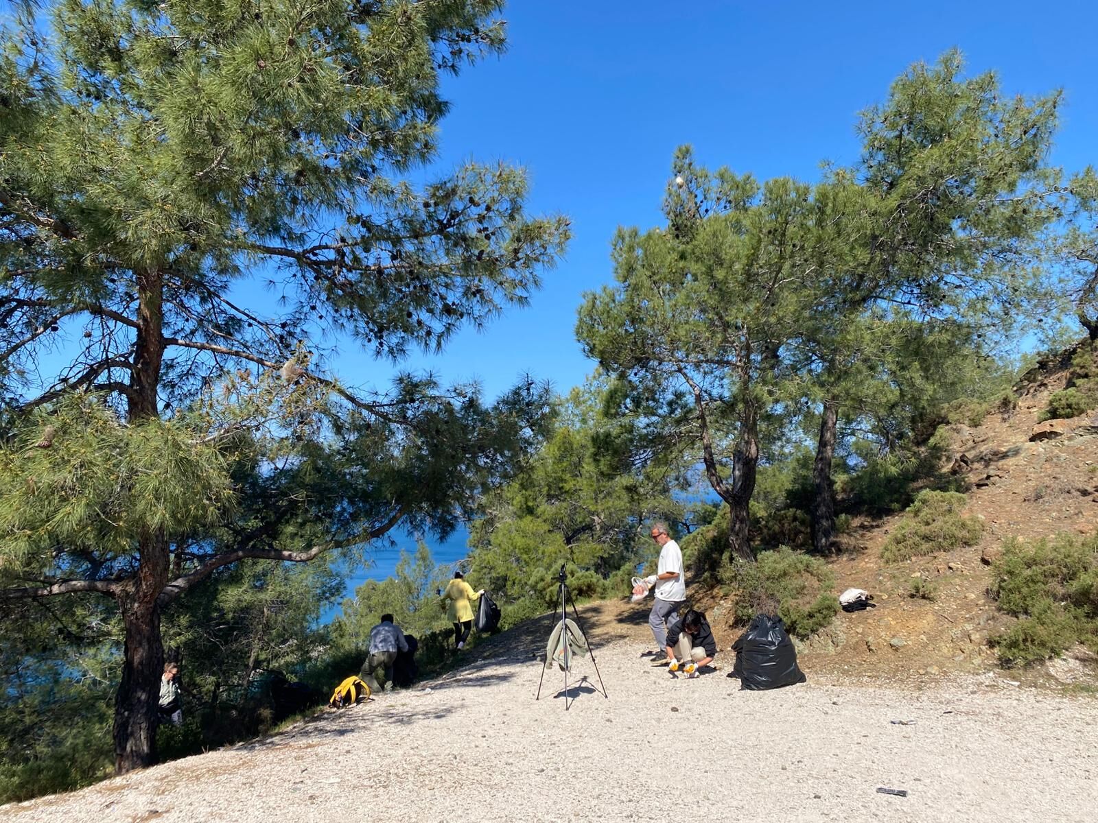 Yarımada Koylarında Çevre Temizliği Yapıldı