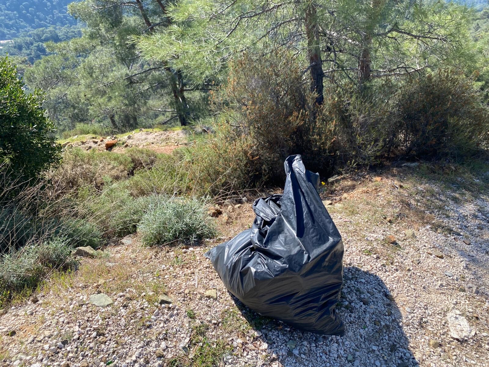 Yarımada Koylarında Çevre Temizliği Yapıldı