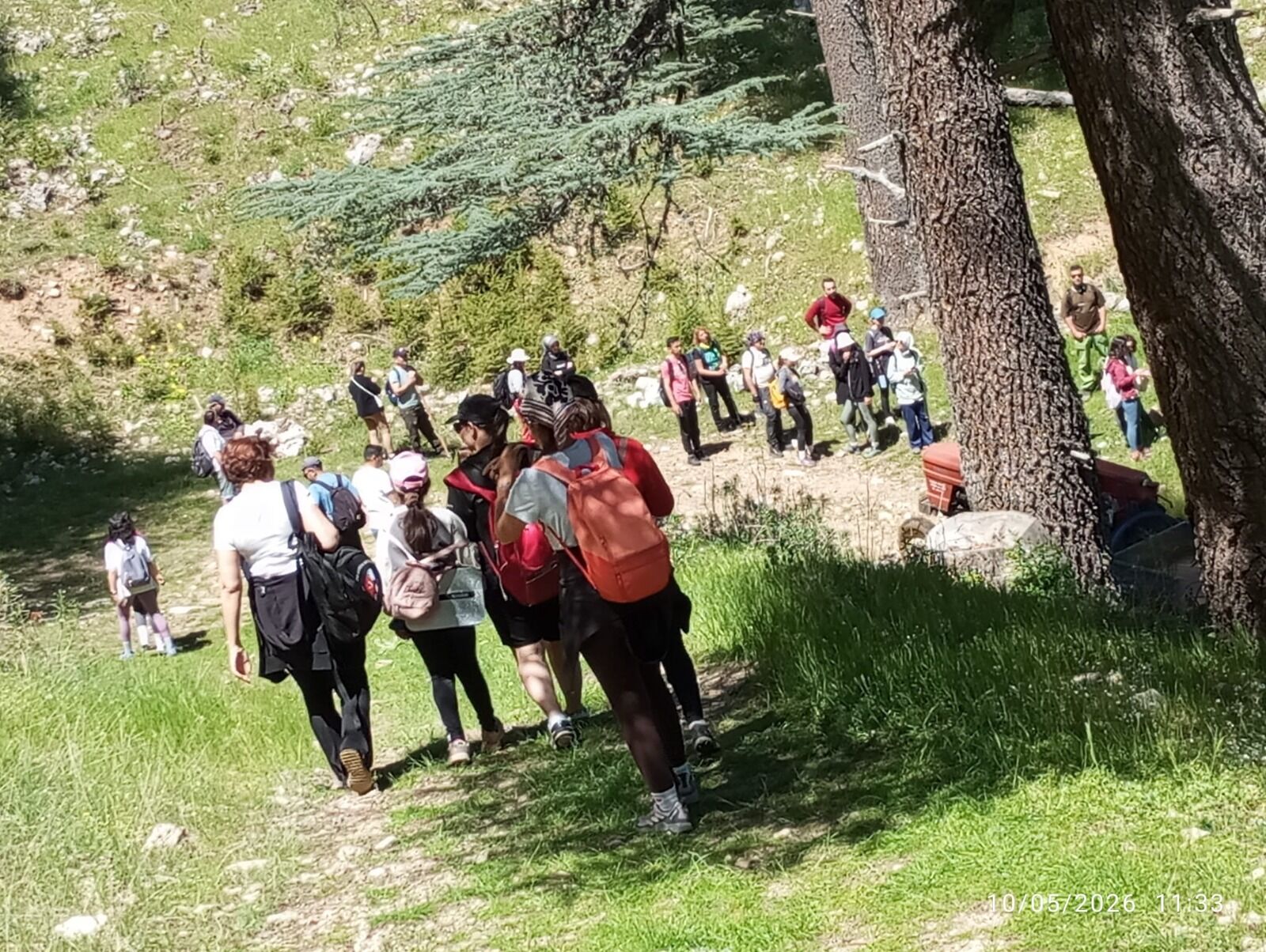 Seydikemer’in Dağlarında Açan Ayı Gülleri Doğaseverlerin İlgi Odağı Oldu