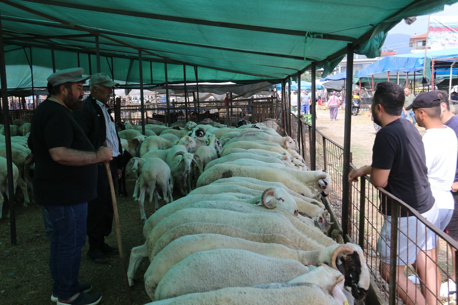 Fethiye’de Kurbanlık Pazarı Hareketlendi