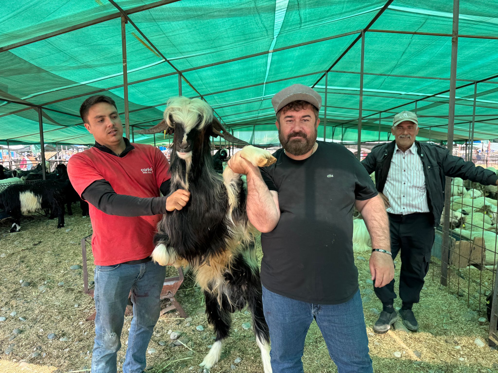 Fethiye’de Kurbanlık Pazarı Hareketlendi