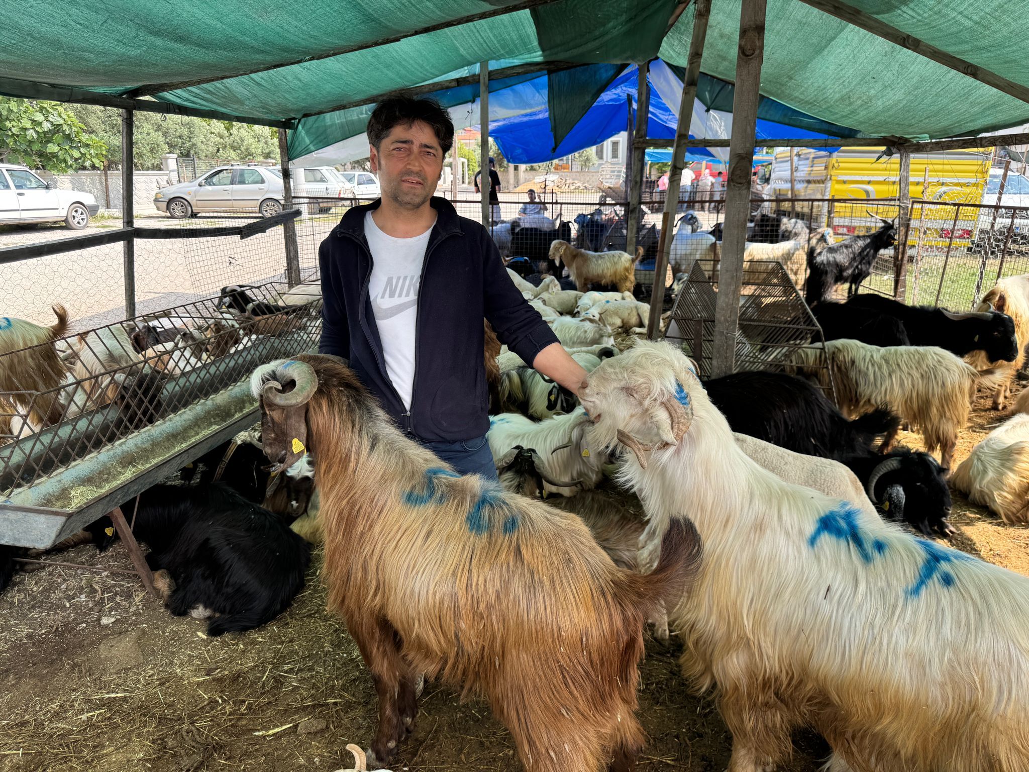 Fethiye’de Kurbanlık Pazarı Hareketlendi