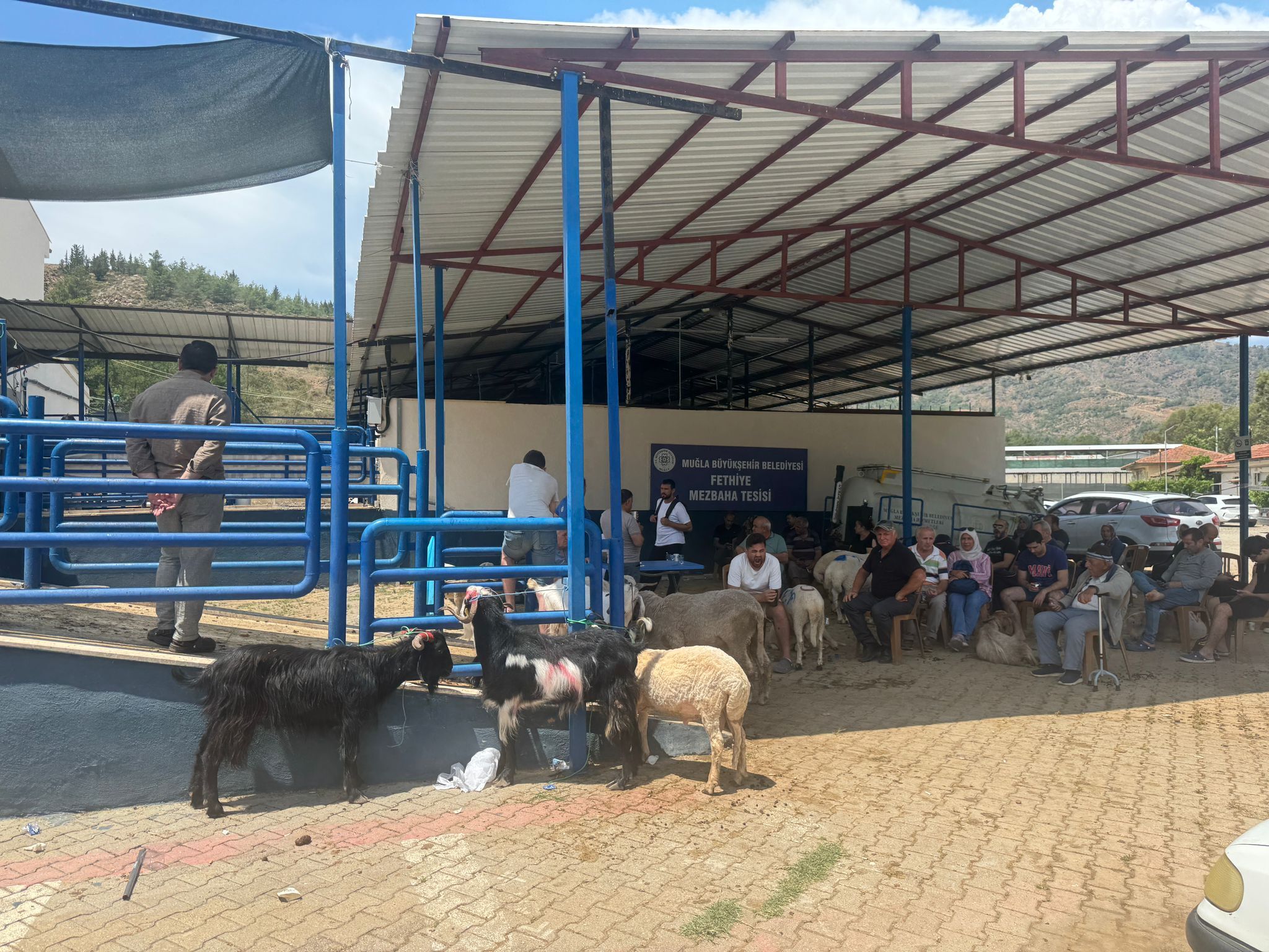 Fethiye Mezbahasında Bayram Yoğunluğu