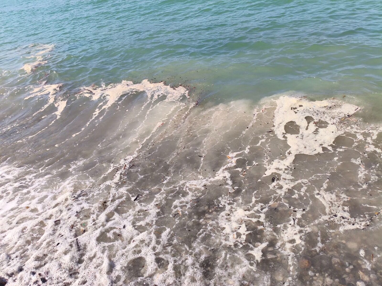 Fethiye Kocaçalış Sahili'nde Sintine Kirliliği Tepki Çekti