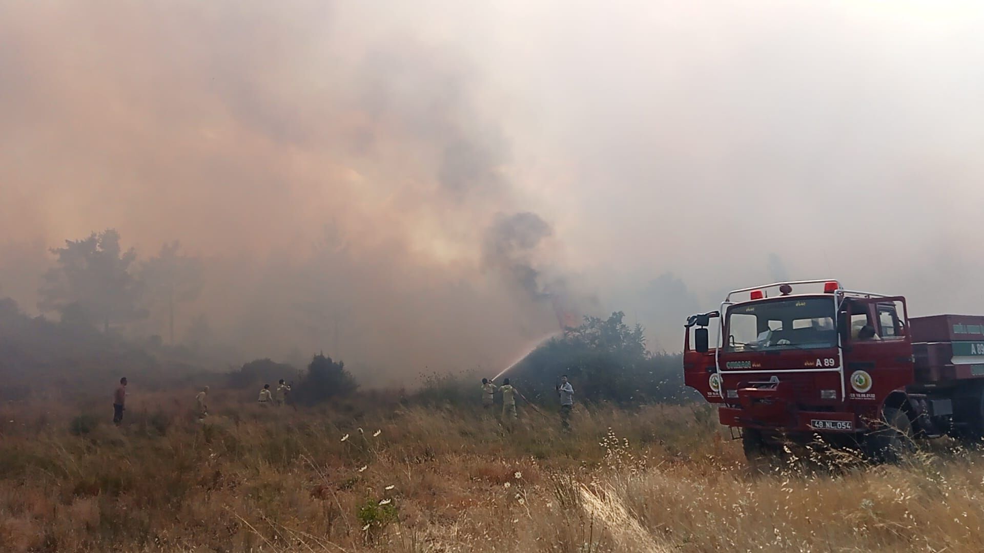 Zirai Alanda Başlayan Yangın Ormanlık Alana Sıçradı, İlerleyişi Durduruldu