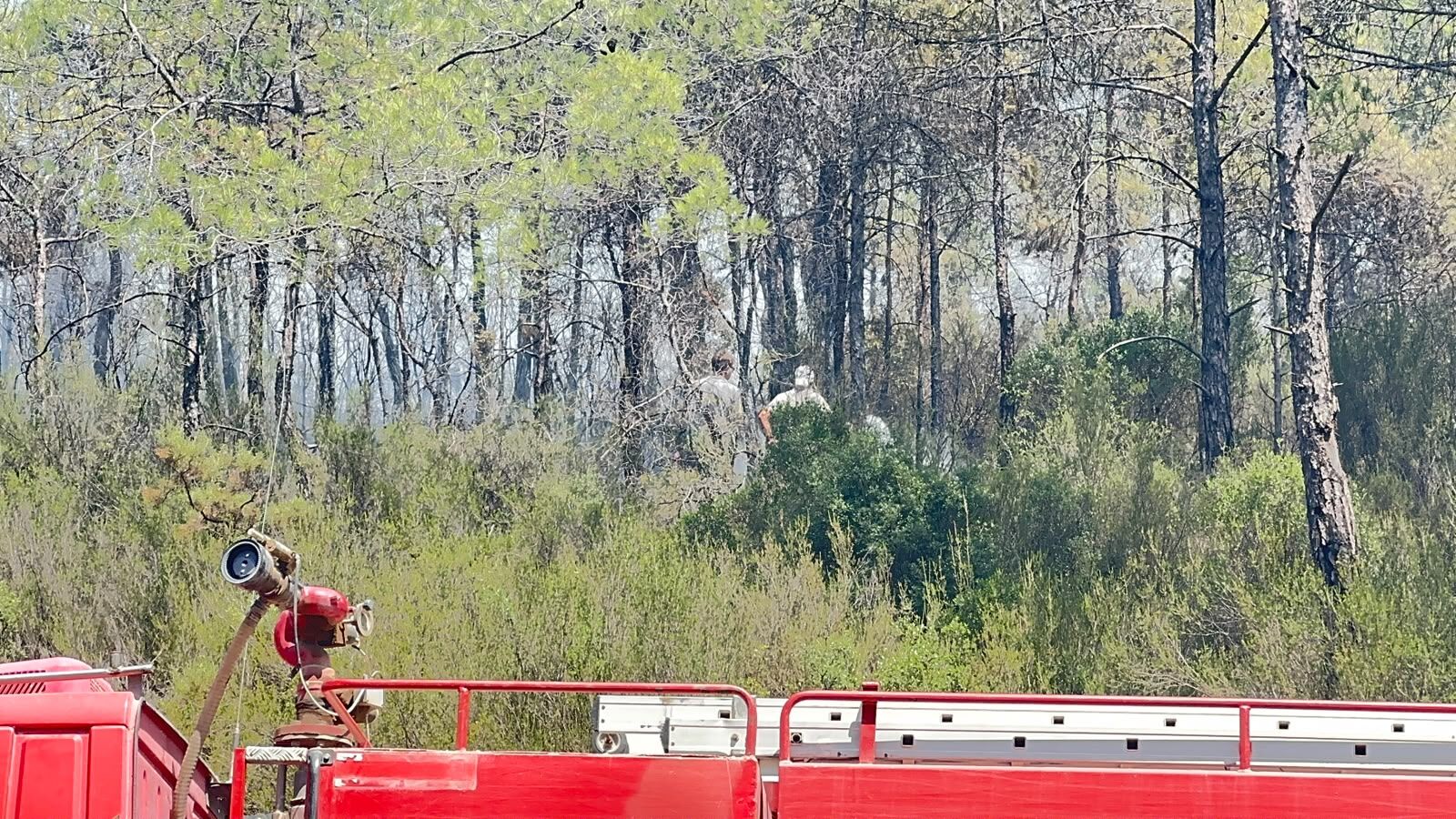 Yeşilüzümlü'de Kontrol Altına Alınan Noktada Alevler Yeniden Yükseldi