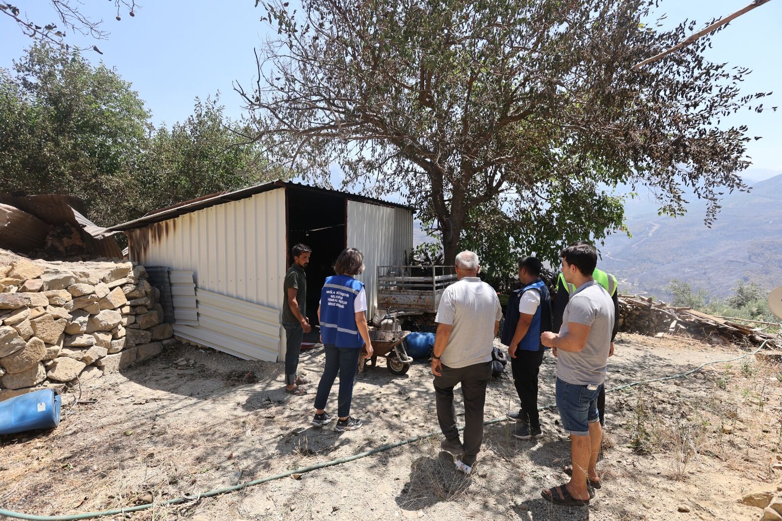 Yangında Hayvanlarını Ve Tarlalarını Kaybeden Üreticilere Büyükşehir Desteği