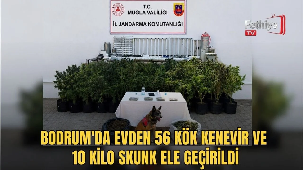 Bodrum Mumcular Mahallesi'ndeki evde jandarma ekipleri uyuşturucu operasyonu gerçekleştirdi.