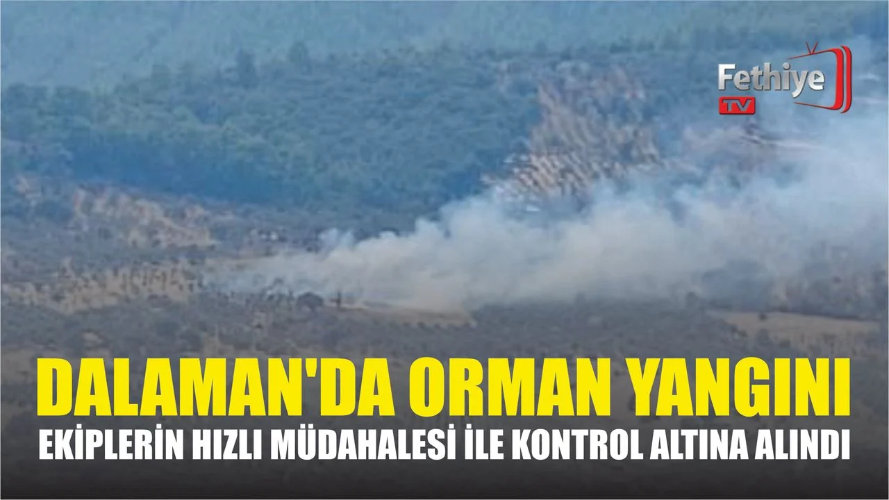 Dalaman Kayadibi Mahallesi'ndeki ormanlık alanda çıkan yangına havadan ve karadan müdahale ediliyor.
