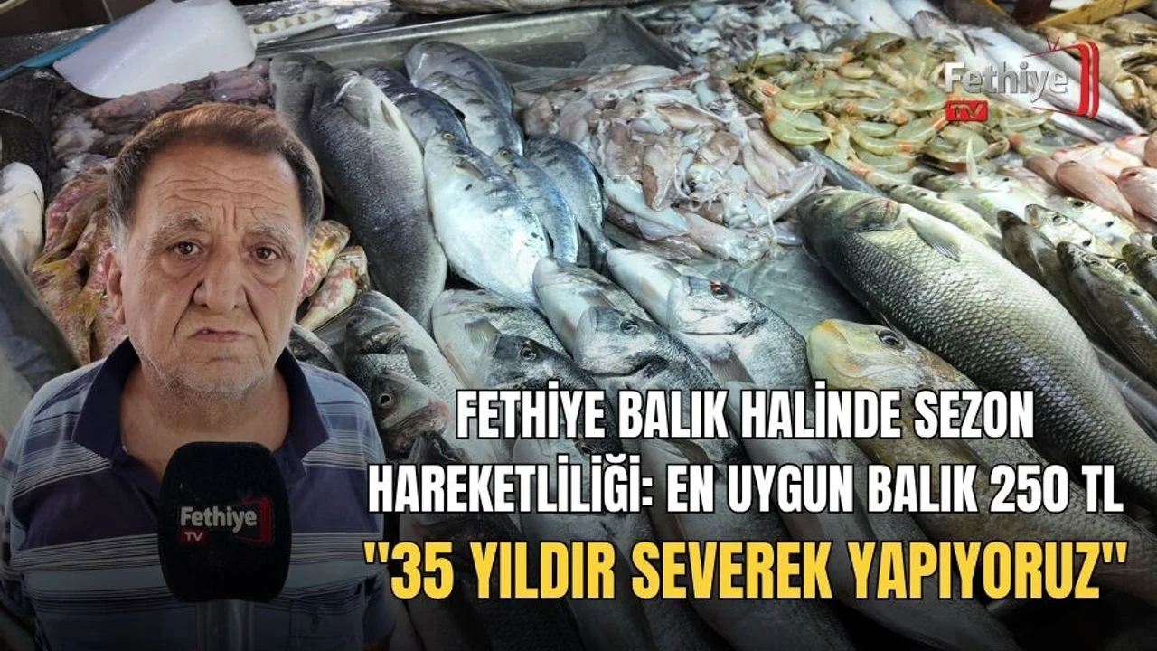 Fethiye Balık Halinde Sezon Hareketliliği: En Uygun Balık 250 TL