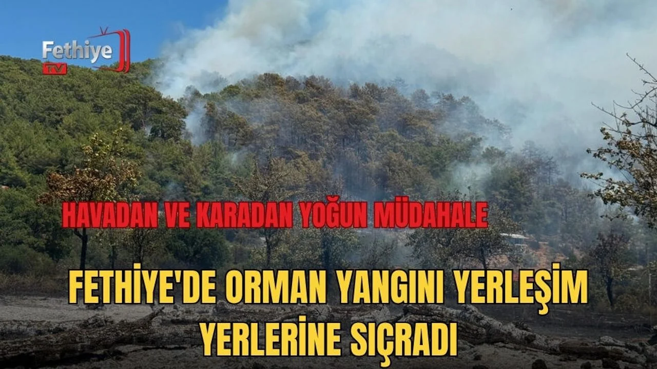 Fethiye'de Orman Yangını Yerleşim Yerlerine Sıçradı