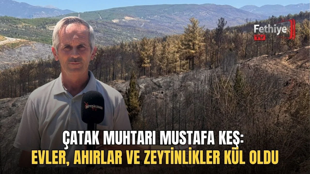 Çatak Muhtarı Mustafa Keş: Evler, Ahırlar Ve Zeytinlikler Kül Oldu
