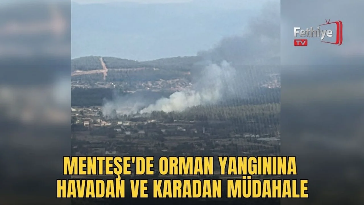 Menteşe'de Orman Yangınına Havadan Ve Karadan Müdahale