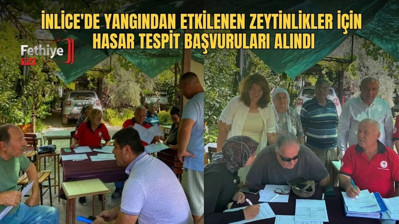 İnlice'de Yangından Zarar Gören Zeytinlikler İçin Hasar Tespit Çalışmaları Başladı