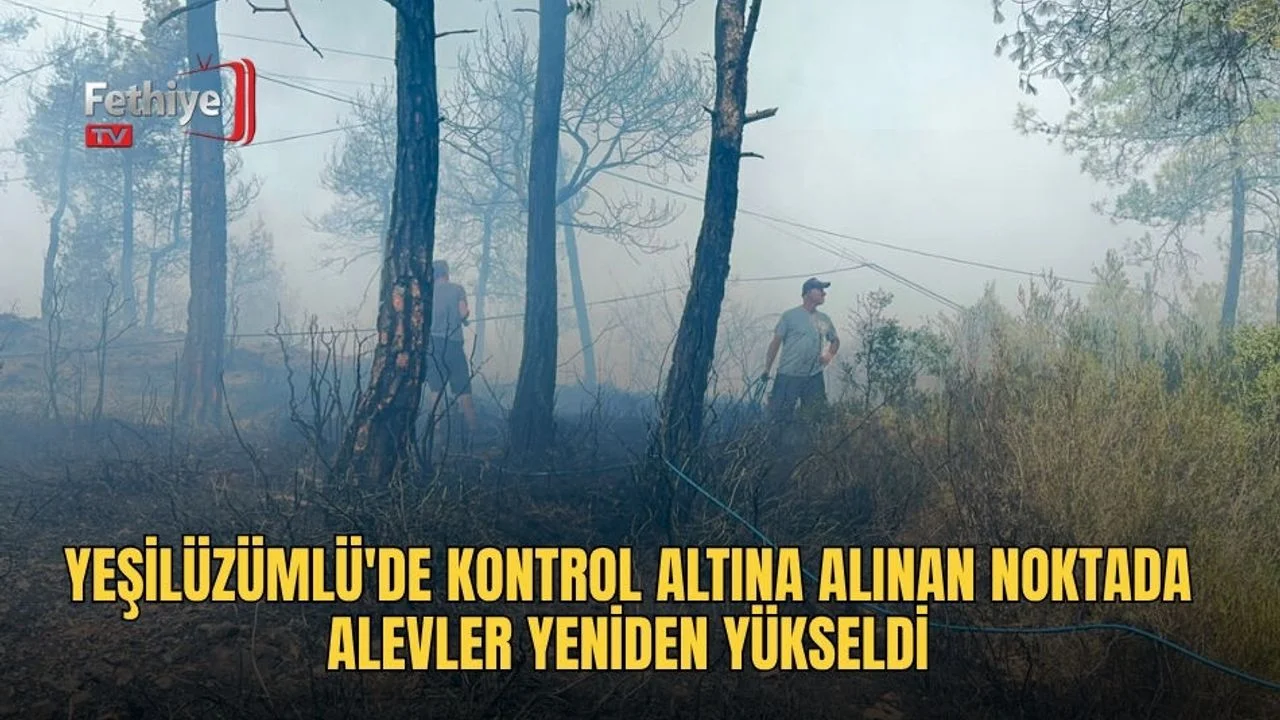 Yeşilüzümlü'de Kontrol Altına Alınan Noktada Alevler Yeniden Yükseldi