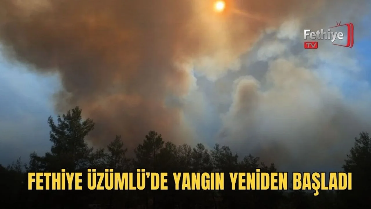 Fethiye Üzümlü’de Yangın Yeniden Başladı