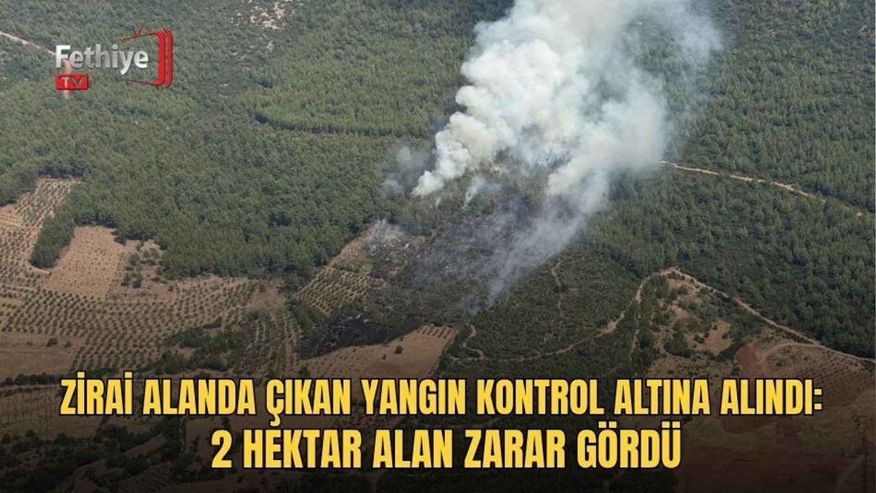 Zirai Alanda Çıkan Yangın Kontrol Altına Alındı: 2 Hektar Alan Zarar Gördü