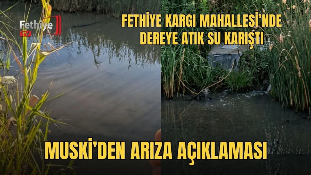 Fethiye Kargı Mahallesi’nde Dereye Atık Su Karıştı