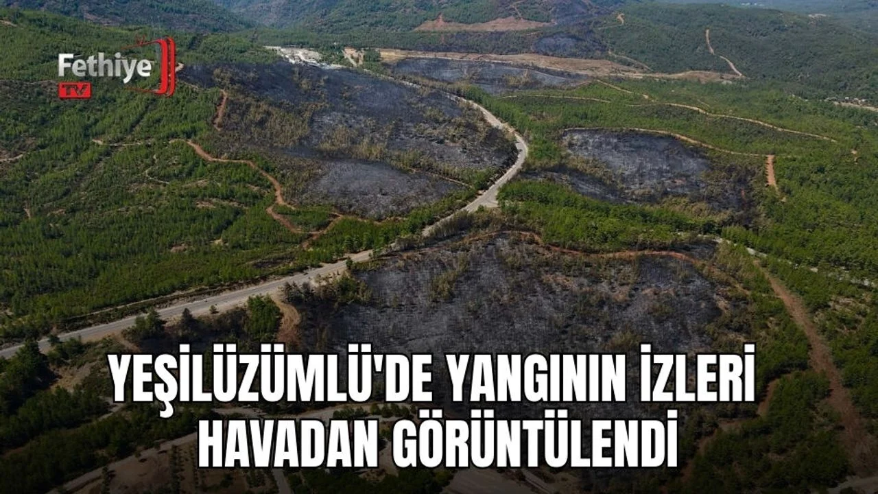 Yeşilüzümlü'de Yangının İzleri Havadan Görüntülendi
