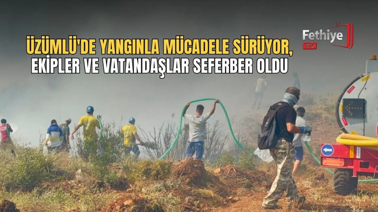 Üzümlü'de Yangınla Mücadele Sürüyor, Ekipler Ve Vatandaşlar Seferber Oldu