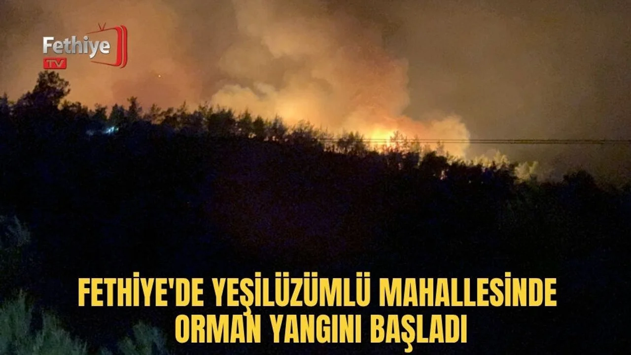 Fethiye'de Yeşilüzümlü Mahallesinde Orman Yangını Başladı