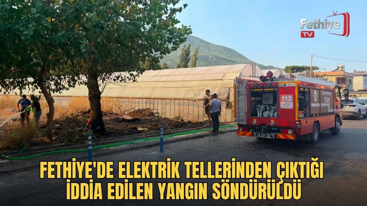 Fethiye'de Elektrik Tellerinden Çıktığı İddia Edilen Yangın Söndürüldü