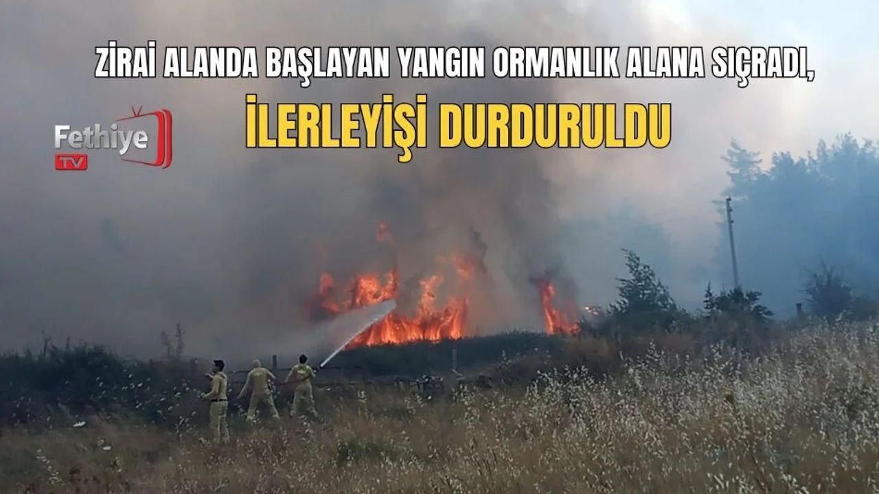 Zirai Alanda Başlayan Yangın Ormanlık Alana Sıçradı, İlerleyişi Durduruldu