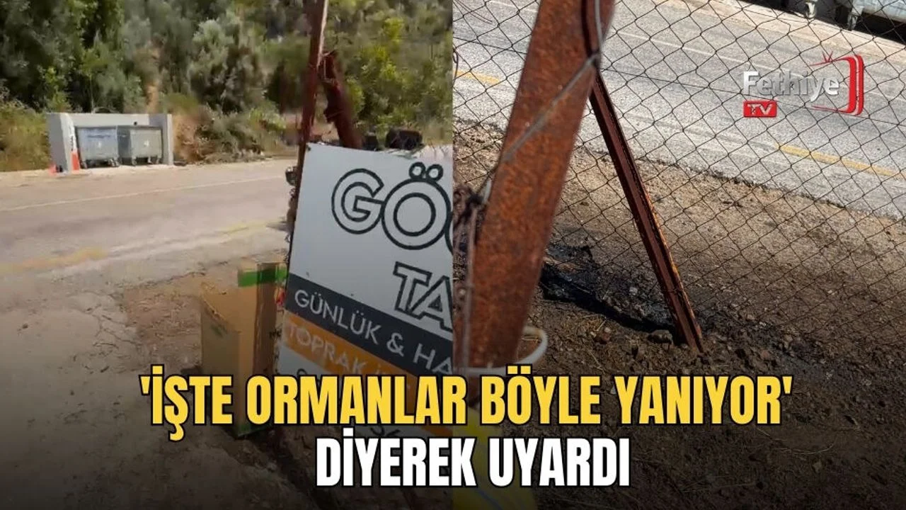 'İşte Ormanlar Böyle Yanıyor' Diyerek Uyardı