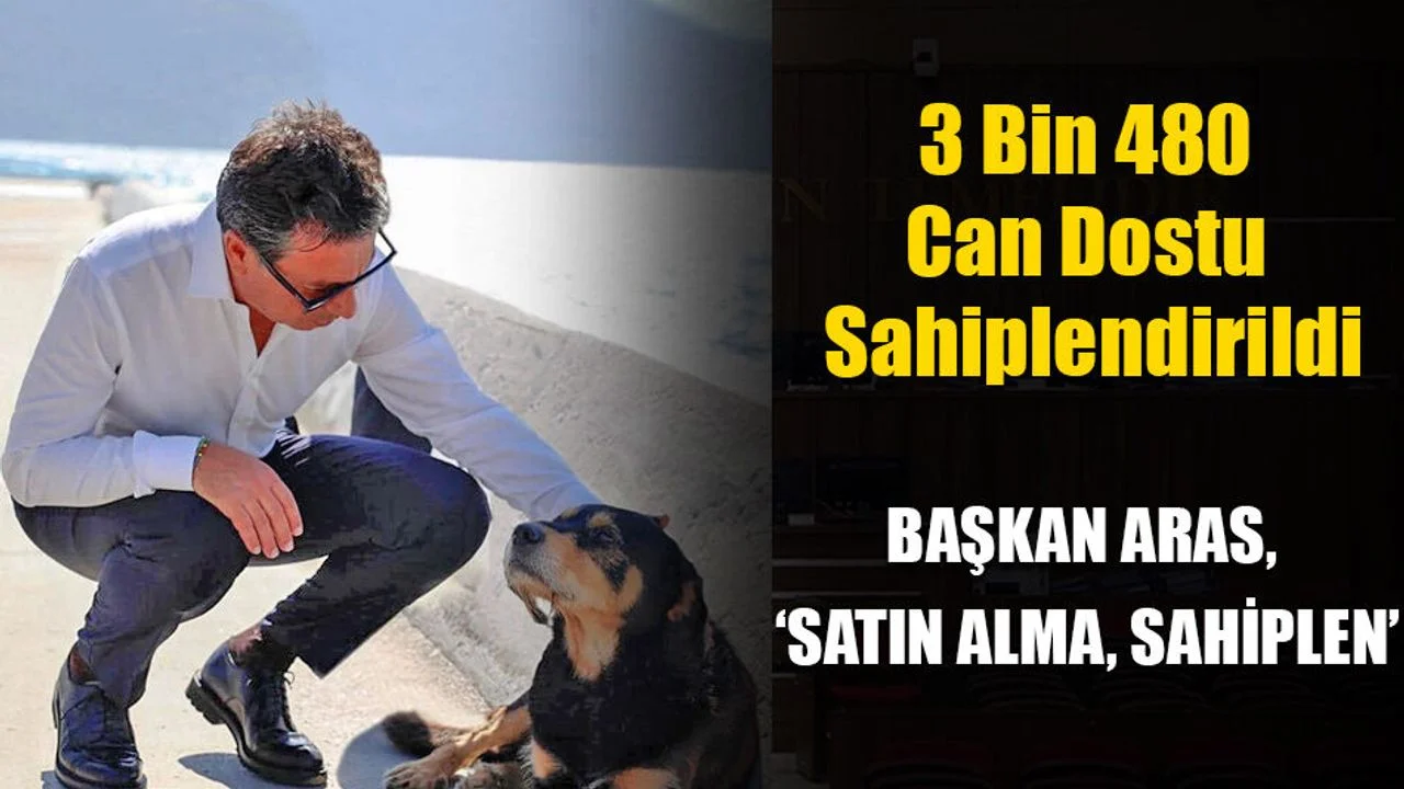 3 Bin 480 Can Dostu Sahiplendirildi