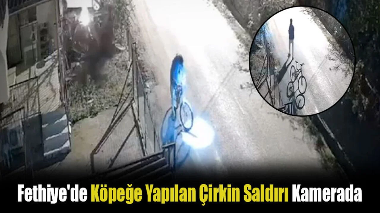 Fethiye'de Köpeğe Yapılan Çirkin Saldırı Kamerada