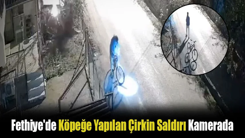 Fethiye'de Köpeğe Yapılan Çirkin Saldırı Kamerada