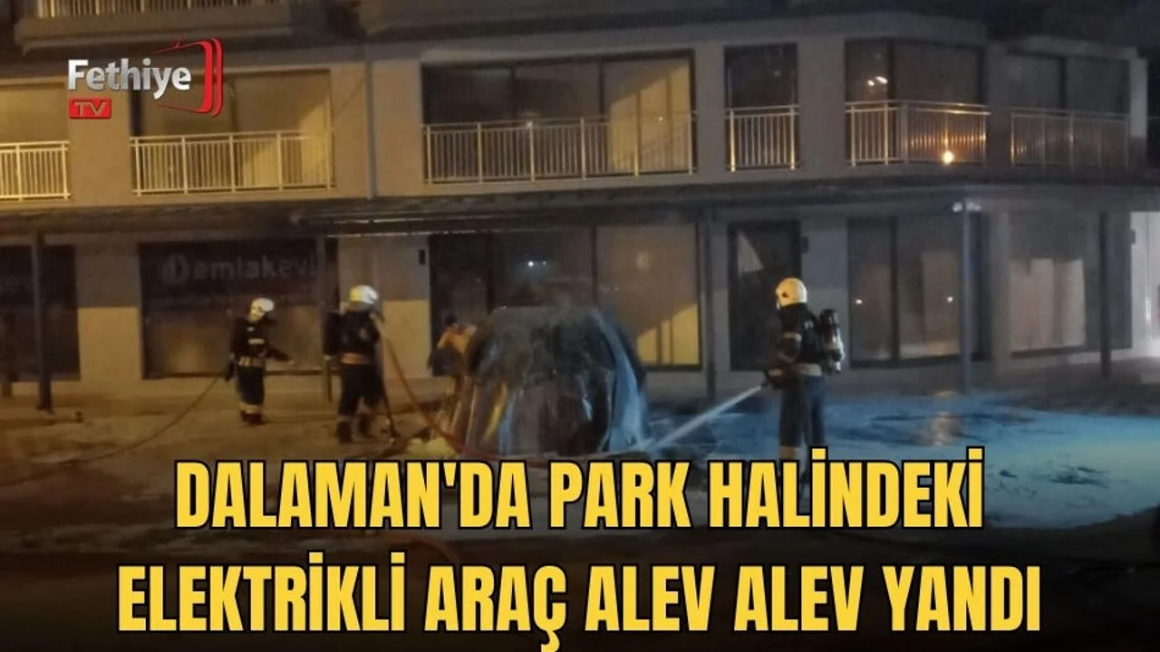 Park Halindeki Elektrikli Araç Alev Alev Yandı