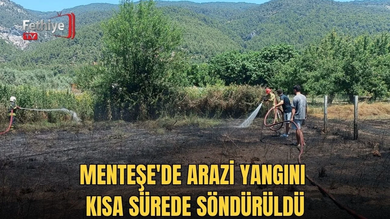 Menteşe'de Arazi Yangını Kısa Sürede Söndürüldü