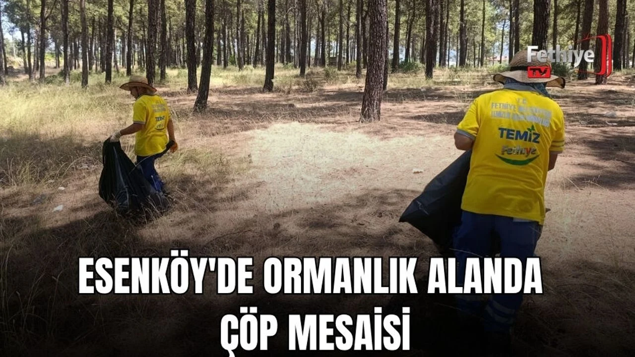 Esenköy'de Ormanlık Alanda Çöp Mesaisi
