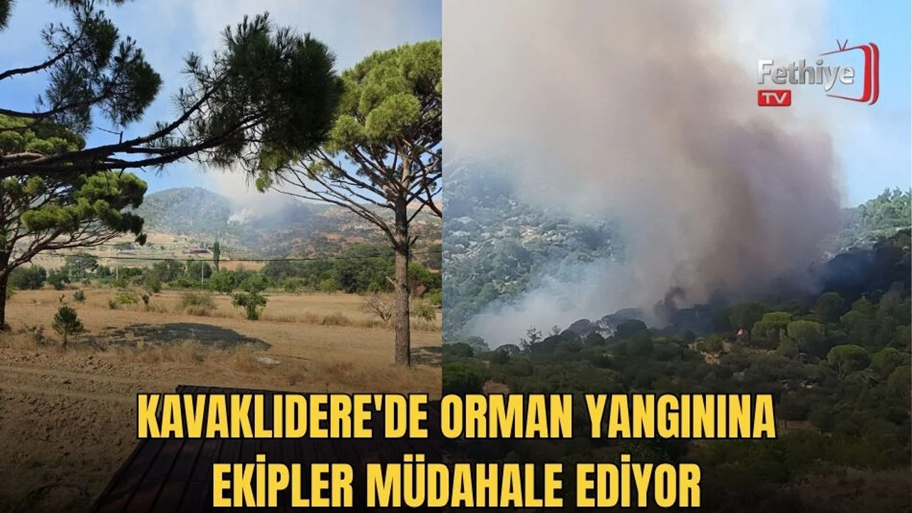 Kavaklıdere'de Orman Yangınına Ekipler Müdahale Ediyor