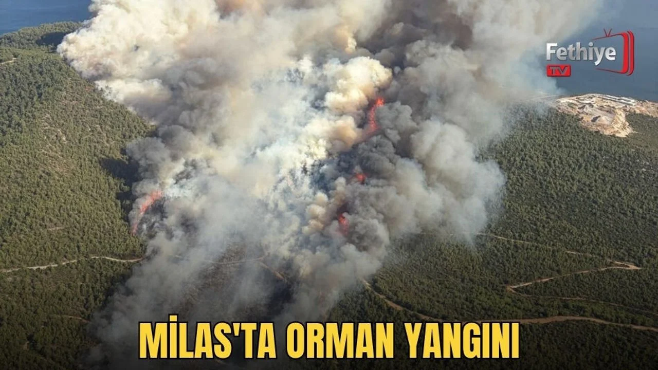 Milas'ta Orman Yangını
