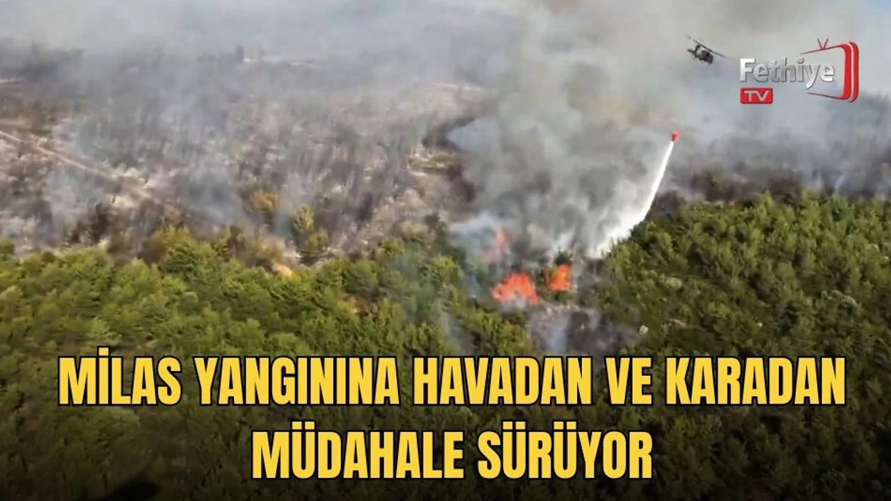 Milas Yangınına Havadan Ve Karadan Müdahale Sürüyor