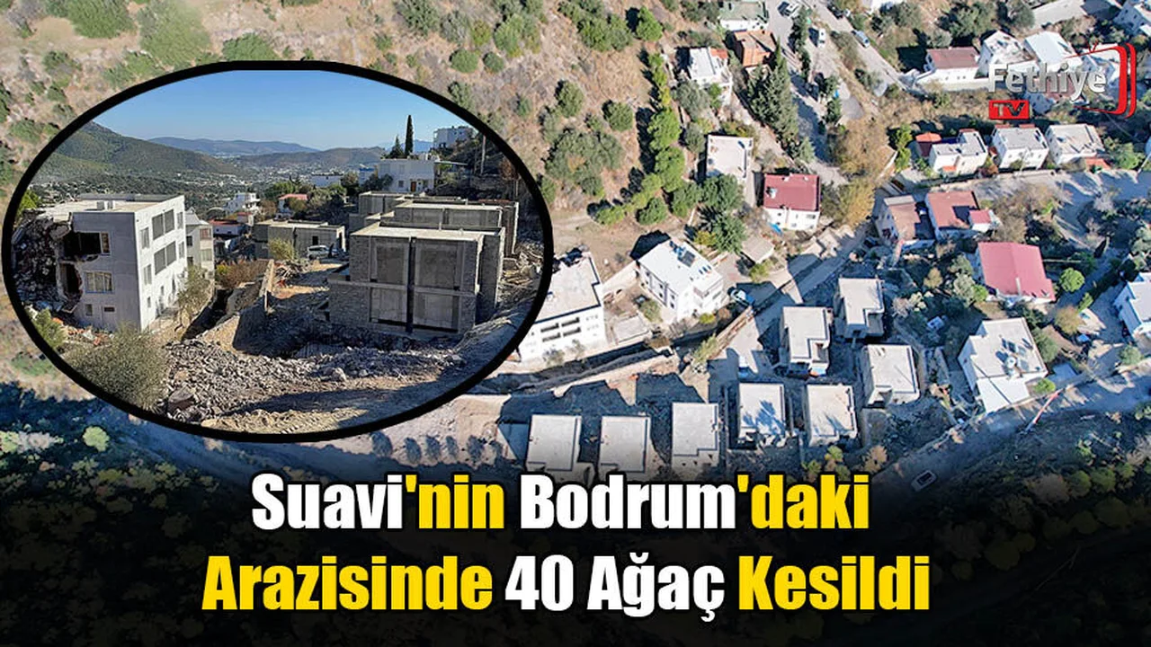 Suavi'nin Bodrum'daki Arazisinde 40 Ağaç Kesildi