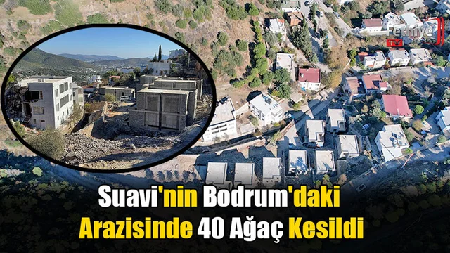 Suavi'nin Bodrum'daki Arazisinde 40 Ağaç Kesildi