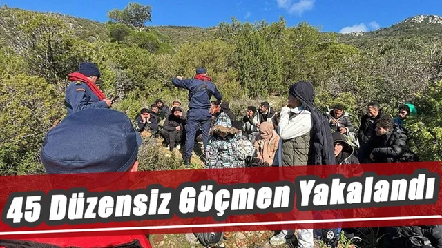 45 Düzensiz Göçmen Yakalandı