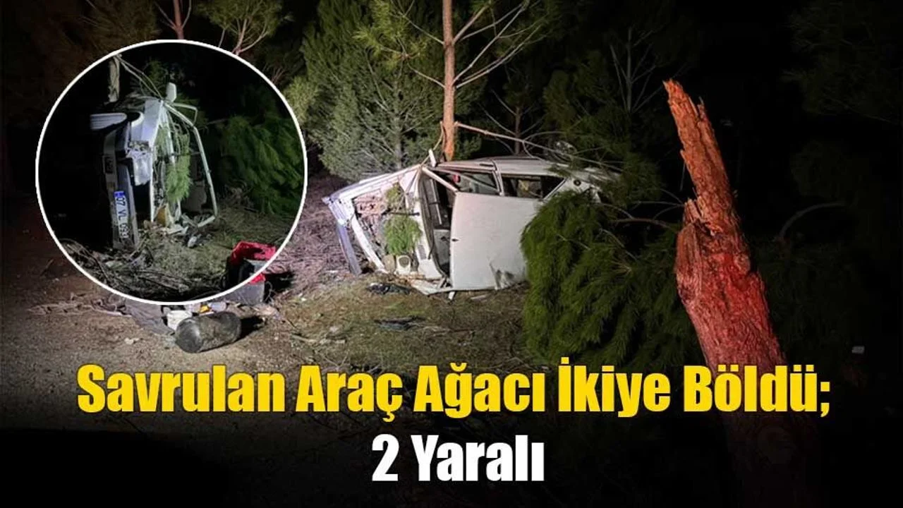 Savrulan Araç Ağacı İkiye Böldü; 2 Yaralı