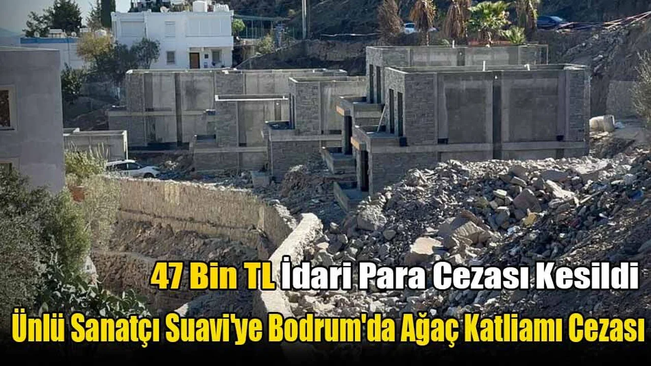 Ünlü Sanatçı Suavi'ye Bodrum'da Ağaç Katliamı Cezası