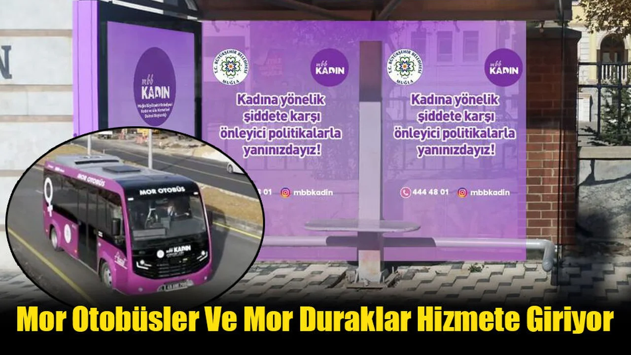 Mor Otobüsler Ve Mor Duraklar Hizmete Giriyor