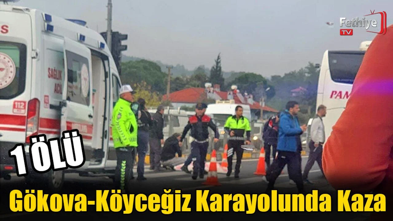 Gökova-Köyceğiz Karayolunda Kaza: 1 Ölü